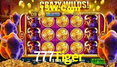 777Tiger Brasília - Betting Features
