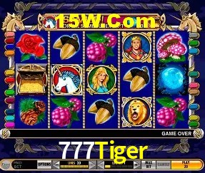 777Tiger - Customer Support