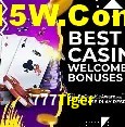 777Tiger Salvador - Promo Stats